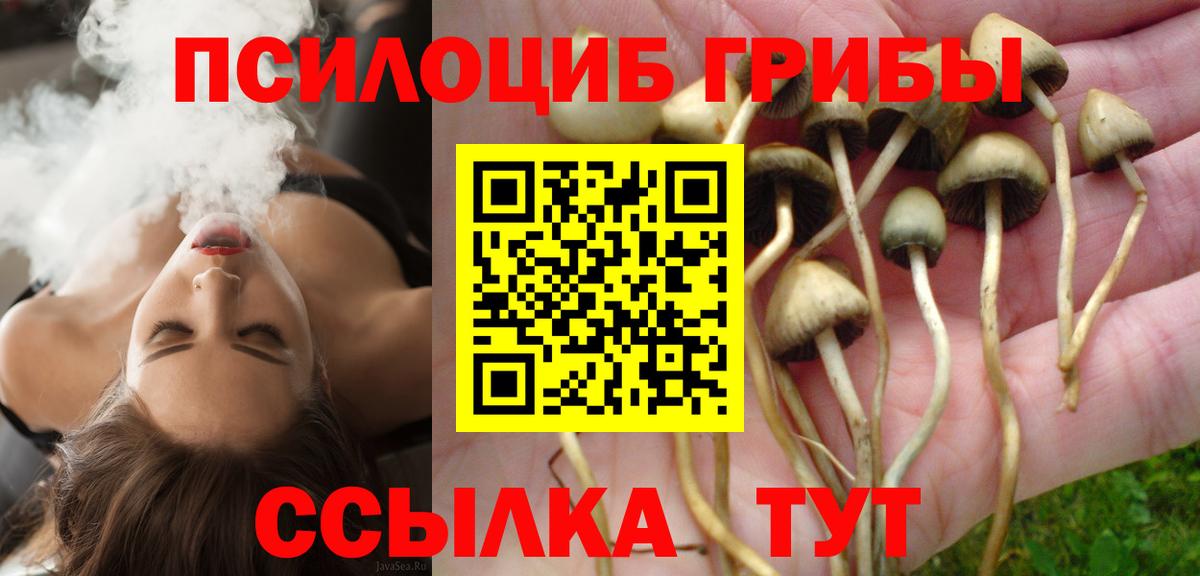 Псилоцибиновые грибы MAGIC MUSHROOMS  Вход с VPN  закладки  Карабулак 